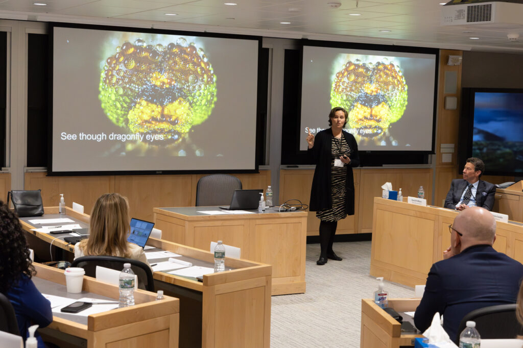 Participants at the Senior Leadership Workshop on Dragonfly Thinking, Harvard Law School, April 2024