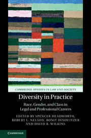 Cover of the book "Diversity in Practice" from Cambridge University Press
