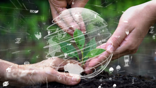 Hands holding a plant with a digital earth superimposed.