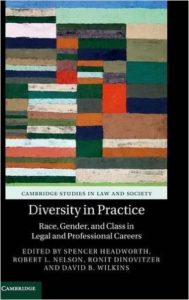 The cover image of "Diversity in Practice"