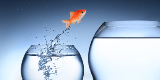 A gold fish jumping out of one fish bowl into another.