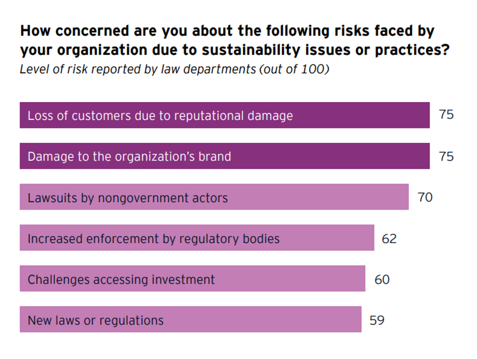 This graph from the EY Law–CLP 2022 Sustainability Study that asks, “How concerned are you about the following risks faced by your organization due to sustainability issues or practices?” On loss of customers due to reputational damage, those surveyed report a 75 out of 100 level of risk; on damage to the organization’s brand, 75; on lawsuits by nongovernment actors, 70; on increased enforcement by regulatory bodies, 62; on challenges accessing investment, 60; and on new laws or regulations, 59.