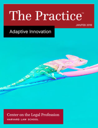The Practice on Adaptive Innovation for Jan/Feb 2019 with a picture of a chameleon changing color.
