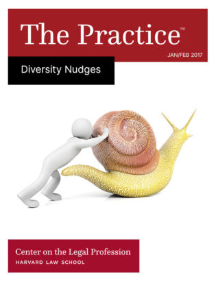 The cover of The Practice on 