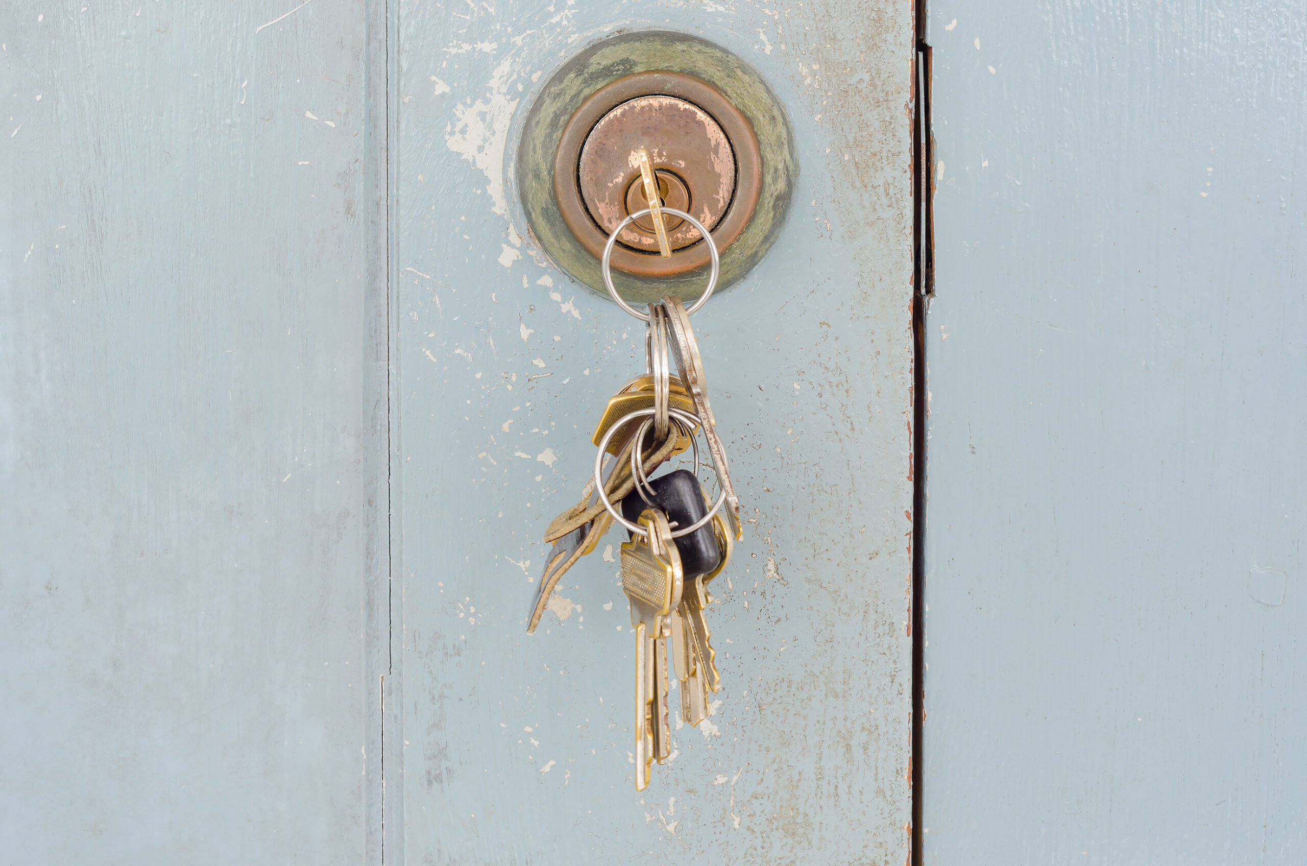Practice-Ready Licensing – Harvard Law School Center on the Legal Profession