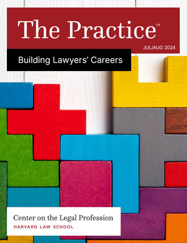 The cover for The Practice for July/August 2024 on Building Legal Careers shows blocks fitting into other blocks in a tetris like formation.