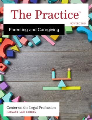 Cover of The Practice for Nov/Dec 2024 on Parenting and Caregiving shows a seesaw balancing two wooden blocks.