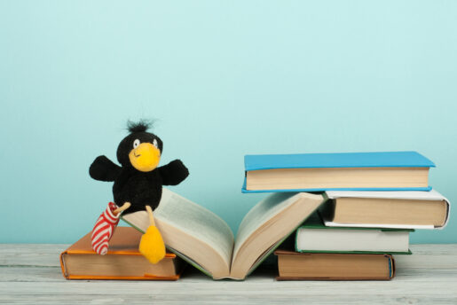 a stack of books sits with a toy stuffed animal of a bird sitting on it