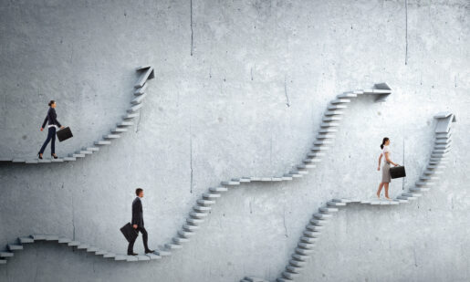 People climb different ladders.