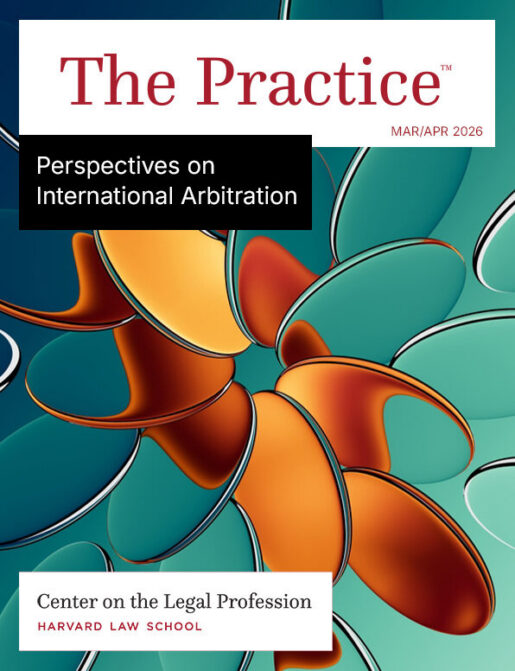 Cover of Perspectives on International Arbitration magazine issue.
